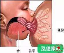 南阳月嫂泓德家政公司_产妇堵奶,南阳,月嫂公司哪家好?
