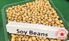 南阳月嫂泓德家政公司_素食催乳十大佳品